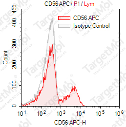 Anti-CD56 Antibody-APC (NCAM16.2)