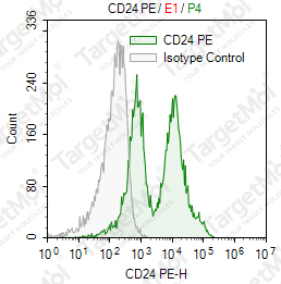 Anti-CD24 Antibody-PE (30-F1)
