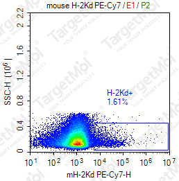 Anti-H-2Kd (MHC Class I) Antibody-PE-Cy7 (A4C8.1-Do9)