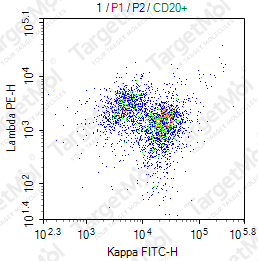 Anti-Kappa Antibody-FITC (L1C1)