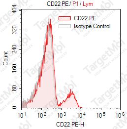 Anti-CD22 Antibody-PE (BU59)