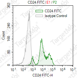 Anti-CD24 Antibody-FITC (M1/69)
