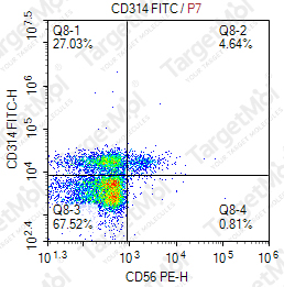 Anti-CD314 Antibody-FITC (1D11)