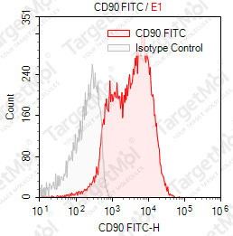 Anti-CD90 Antibody-FITC (5E10)