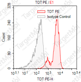 Anti-TDT Antibody-PE (41A)
