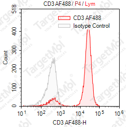 Anti-CD3 Antibody-AF488 (UCHT1)