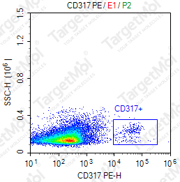 Anti-CD317 Antibody-PE (927)