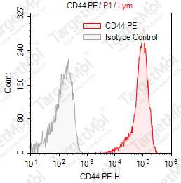 Anti-CD44 Antibody-PE (Bu52)