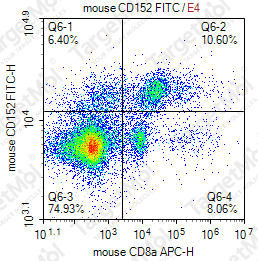Anti-CD152 Antibody-FITC (9H10)