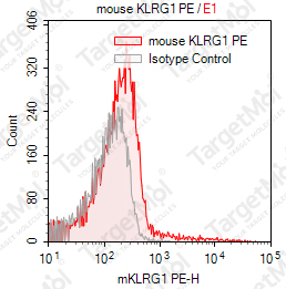Anti-KLRG1 Antibody-PE (2F1/KLRG1)
