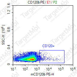 Anti-CD120b Antibody-PE (TR75-54.7)