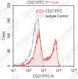 Anti-CD27 Antibody-FITC (12C6)