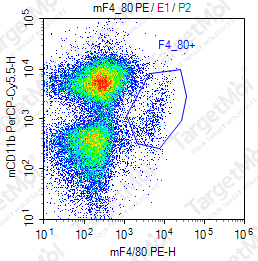 Anti-F4/80 Antibody-PE (BM8.1)