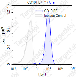 Anti-CD10 Antibody-PE (97C5A6)