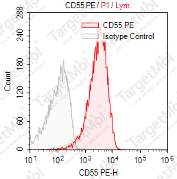 Anti-CD55 Antibody-PE (JS11)