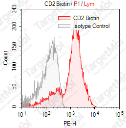 Anti-CD2 Antibody-Biotin (RPA-2-10)