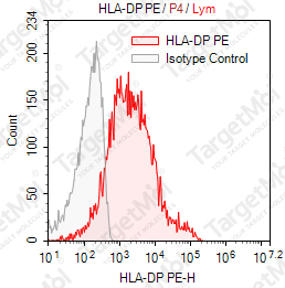 Anti-HLA-DP (MHC Class II) Monomorphic Antibody-PE (B7/21)
