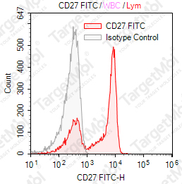 Anti-CD27 Antibody-FITC (LT27)