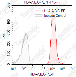 Anti-HLA-A, B, C (HLA Class I) Antibody-PE (W6/32)