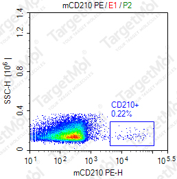 Anti-CD210 Antibody-PE (IB1.3a)
