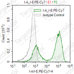 Anti-I-A/I-E Antibody-PE-Cy7 (M5/114.15.2)
