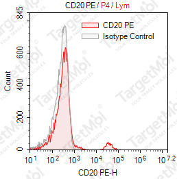 Anti-CD20 Antibody-PE (BCA/B20)