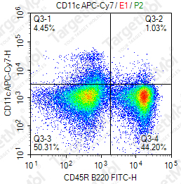 Anti-CD11c Antibody-APC-Cy7 (N418)