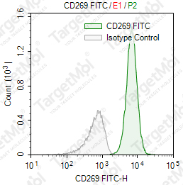 Anti-CD269 Antibody-FITC (FMUBCmA-1)