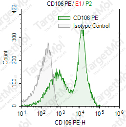 Anti-CD106 Antibody-PE (STA)
