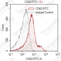 Anti-CD63 Antibody-FITC (MEM-259)