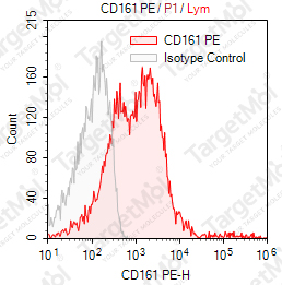 Anti-CD161 Antibody-PE (HP-3G10)