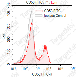Anti-CD56 Antibody-FITC (NCAM16.2)