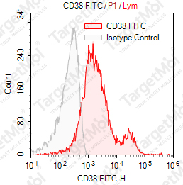 Anti-CD38 Antibody-FITC (HIT2)