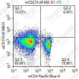 Anti-CD274 Antibody-AF488 (10F.9G2)