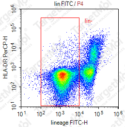 Anti-lineage Cocktail (CD3, CD14, CD16, CD19, CD20, CD56) Antibody-FITC