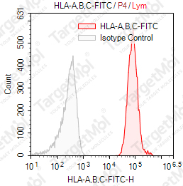 Anti-HLA-A, B, C (HLA Class I) Antibody-FITC (W6/32)