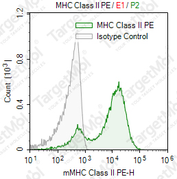 Anti-MHC Class II Antibody-PE (NIMR-4)