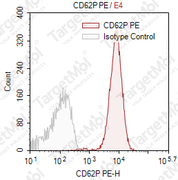 Anti-CD62P Antibody-PE (WAPS12.2)