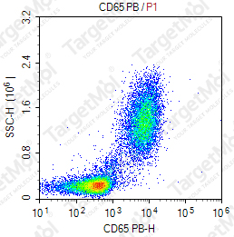 Anti-CD65 Antibody-Pacific Blue (VIM8)