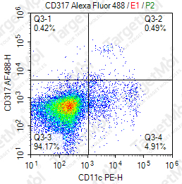 Anti-CD317 Antibody-AF488 (927)