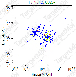 Anti-Kappa Antibody-APC (L1C1)