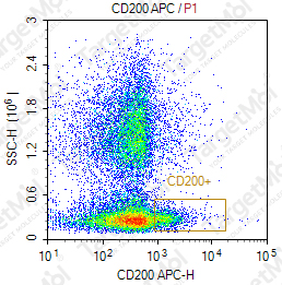 Anti-CD200 Antibody-APC (7C21S)