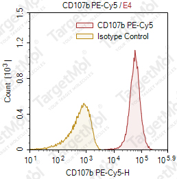 Anti-CD107b Antibody-PE-Cy5 (H4B4)