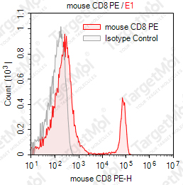 Anti-CD8 (Lyt2.1) Antibody-PE (HB129/116-13.1)