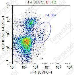 Anti-F4/80 Antibody-APC (BM8.1)