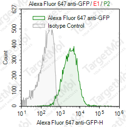 Anti-GFP Antibody-AF647 (FMUGFP-3)