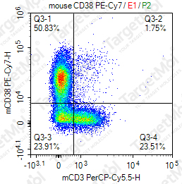 Anti-CD38 Antibody-PE-Cy7 (NIMR-5)