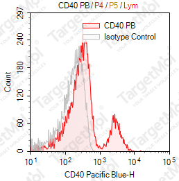 Anti-CD40 Antibody-Pacific Blue (3A8)