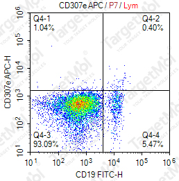 Anti-CD307e Antibody-APC (509F6)