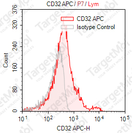 Anti-CD32 Antibody-APC (IV-3)